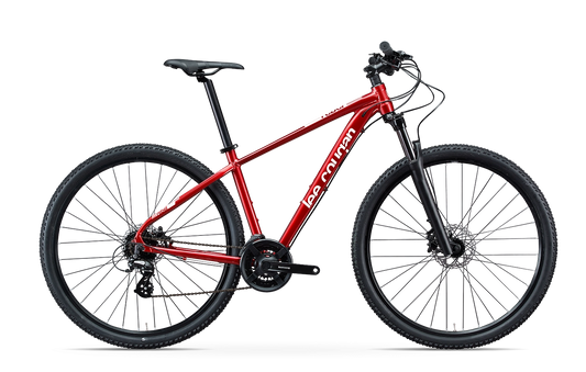 MTB Lee Cougan Rebel