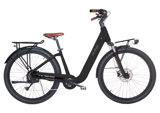 City Bike Elettrica Amate plus lady 27,5'