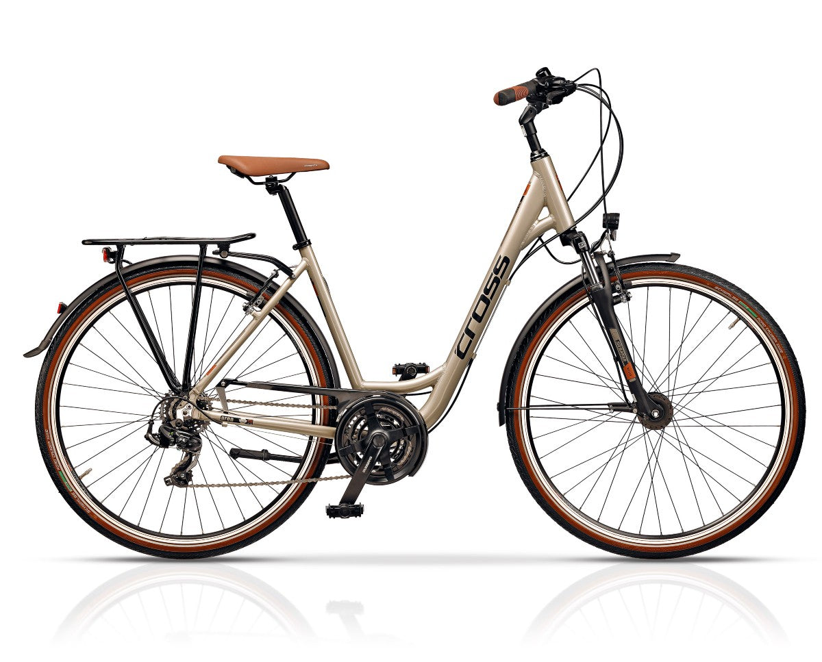 21 SPEED ARENA LOW STEP