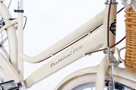 Trubbiani City Bike City Lady 6V STEEL