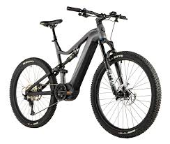 Trubbiani E-Mtb Argus 29''