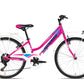 City Bike Tecnobike Coral 24