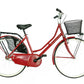 Trubbiani City Bike Olanda 26