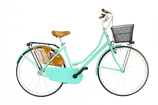 City Bike Trubbiani Olanda 26