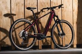 MTB Elettrica Lee Cougan Edge