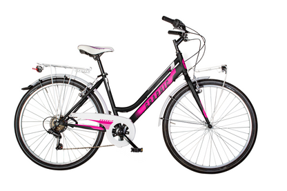 Velomarche MTB GRAPHIC 26 STEEL 18V. LADY