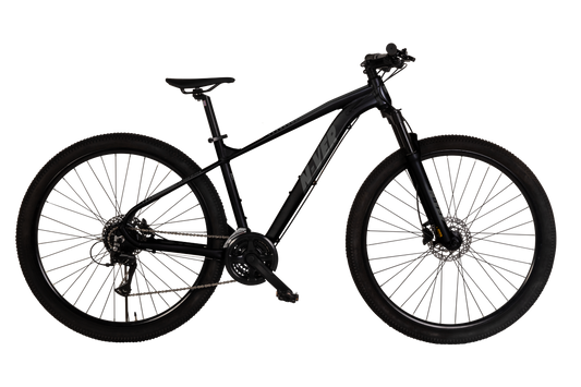NOLEGGIO MTB MUSCOLARE N-VER 29 - Noleggio giornaliero comprensivo di casco