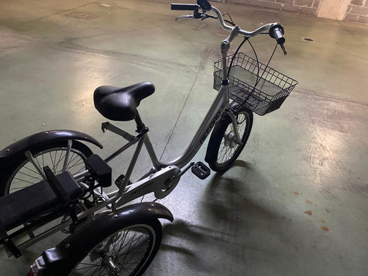 Triciclo elettrico Record PARI AL NUOVO