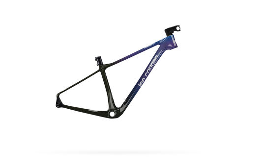 Lee Cougan RAMPAGE 428 TELAIO