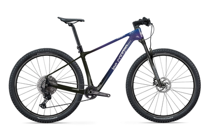 MTB Lee Cougan Rampage 428