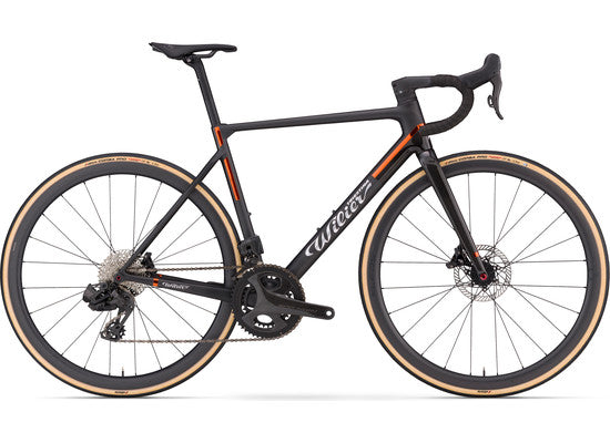 VERTICALE SLR CAMPAGNOLO SR WRL 2X13S	KLEOS RD 36 TE