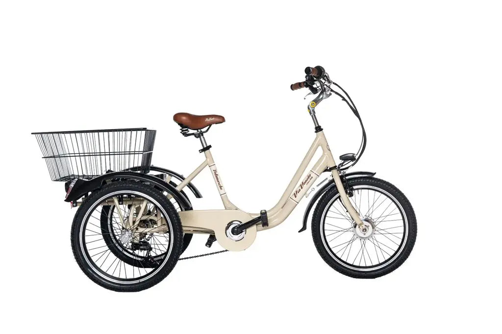 Via veneto TRICICLO ELETTRICO 20 6V. 11 AH, ANSMANN TEL.STEEL