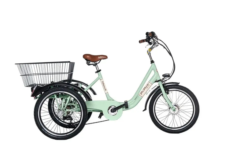 Via veneto TRICICLO ELETTRICO 20 6V. 11 AH, ANSMANN TEL.STEEL