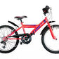 Trubbiani Mtb k20'' boy 6v