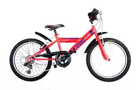Trubbiani Mtb k20'' boy 6v