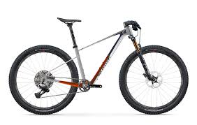 Lee Cougan Rampage Origin