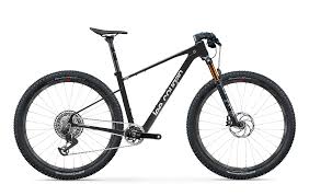 Lee Cougan Rampage Origin