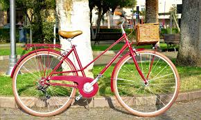 Trubbiani Rondinella 28'' Lady 6v